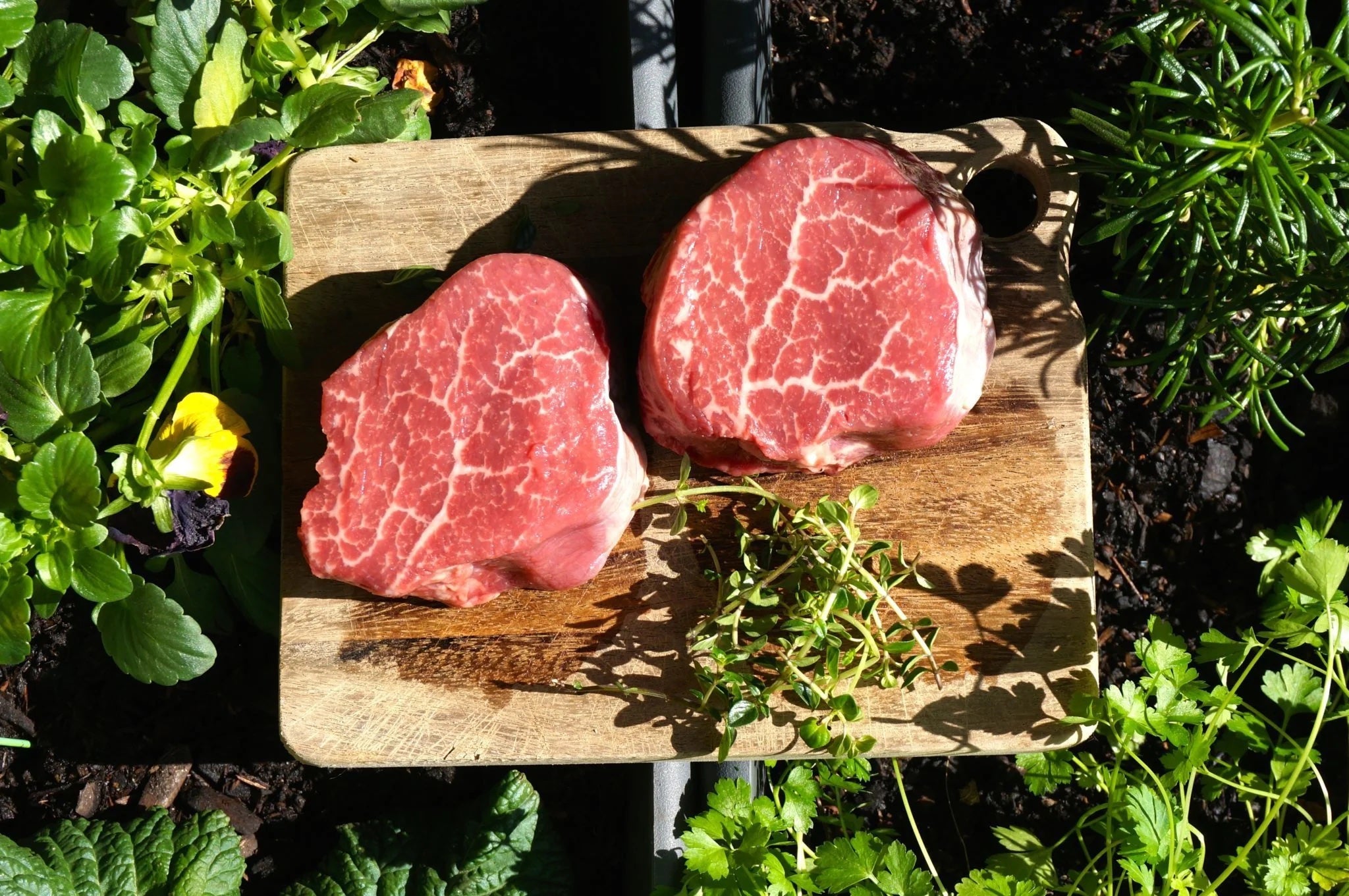 How to Sous Vide Steak – Like Mother, Like Daughter