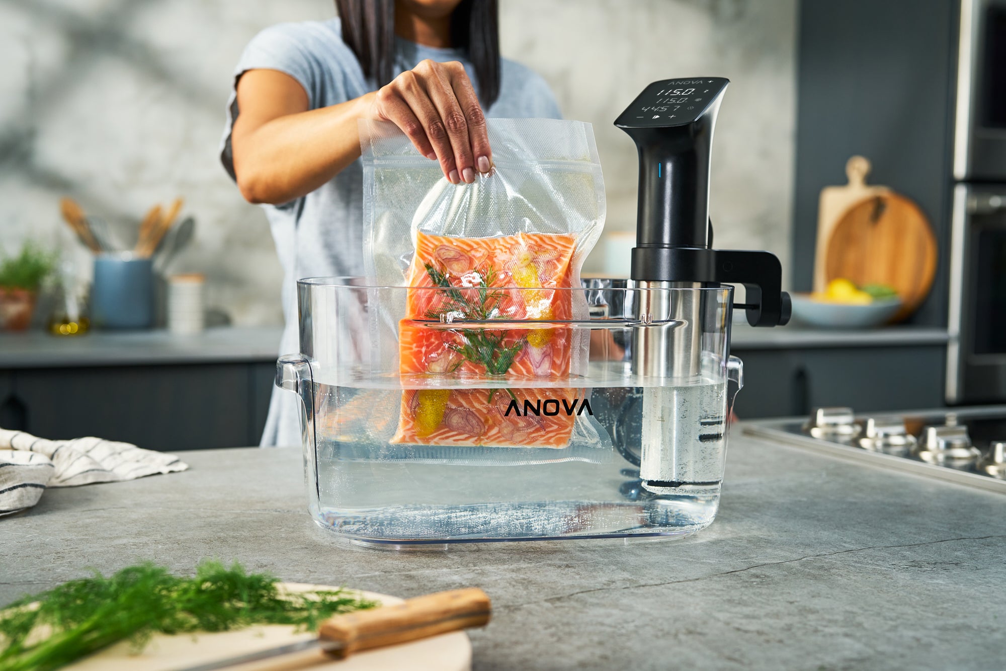 http://anovaculinary.com/cdn/shop/articles/Pro_-_with_salmon_and_hands_a1b0ac50-7199-4bd7-8bc6-ae0448871767.jpg?v=1686007079