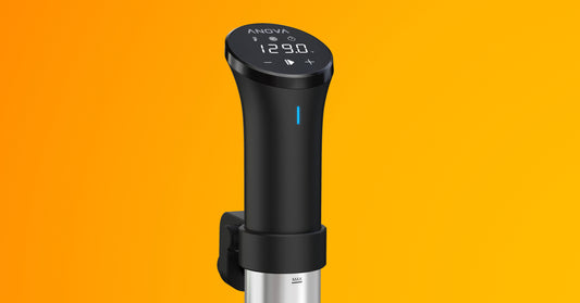 2019 Anova Precision® Cooker