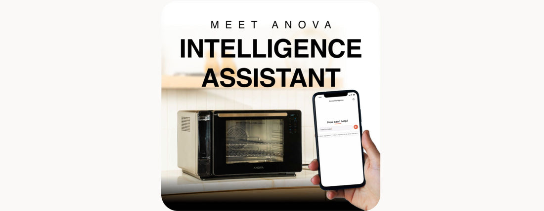 Meet Anova Intelligence Assistant, Your Smarter Cooking Companion