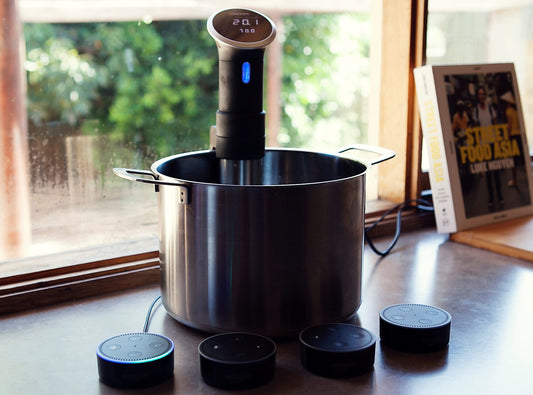 anova sous vide precision cooker