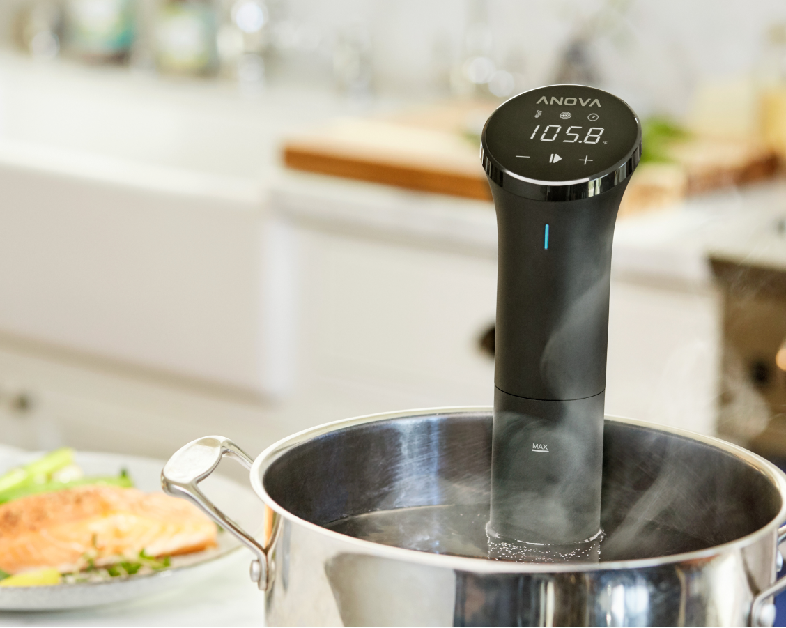 800W LED Display Thermal Immersion Sous Vide Precision Cooker – SousBear