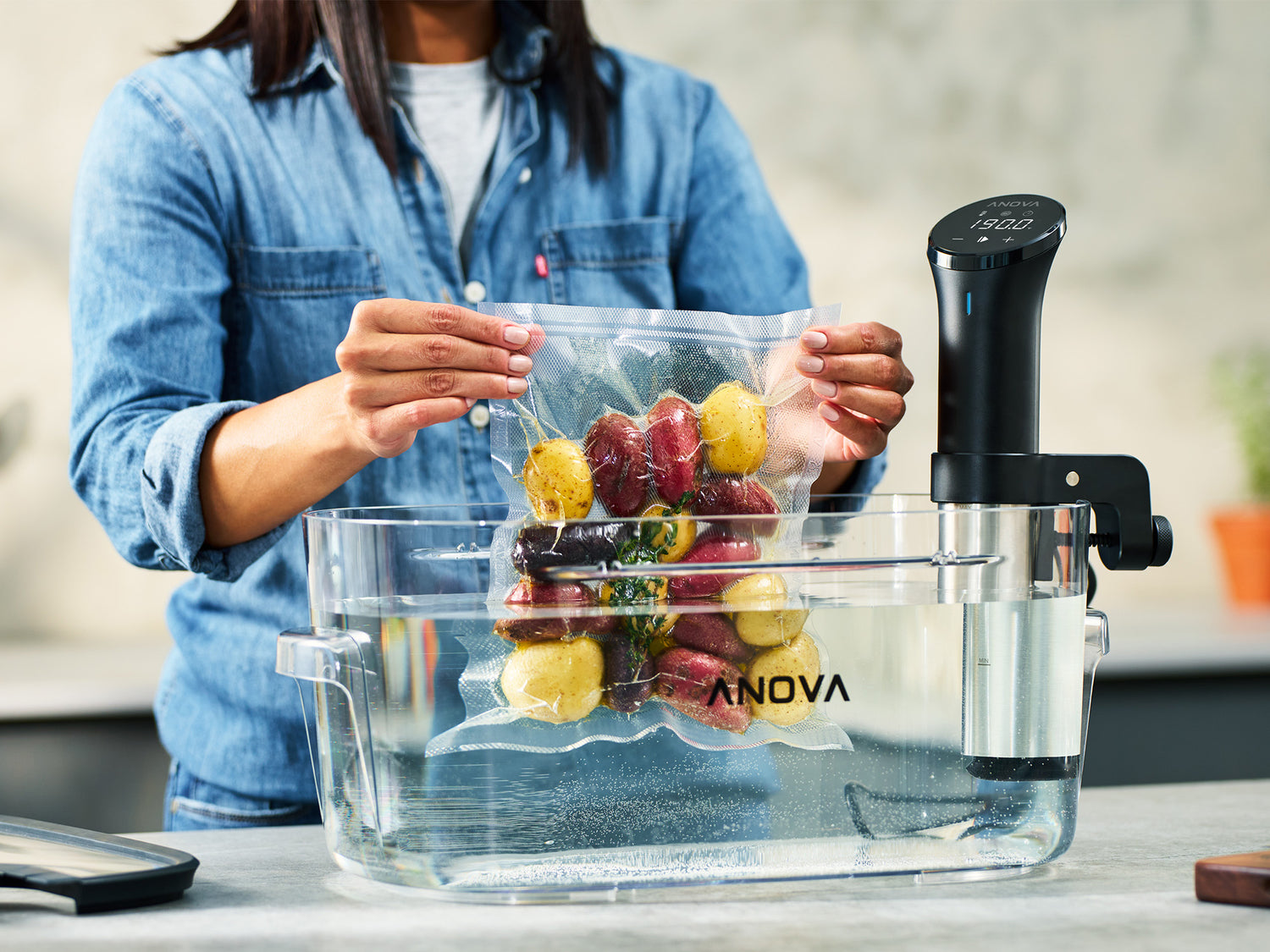 What is Sous | Everything To Know Anova Culinary