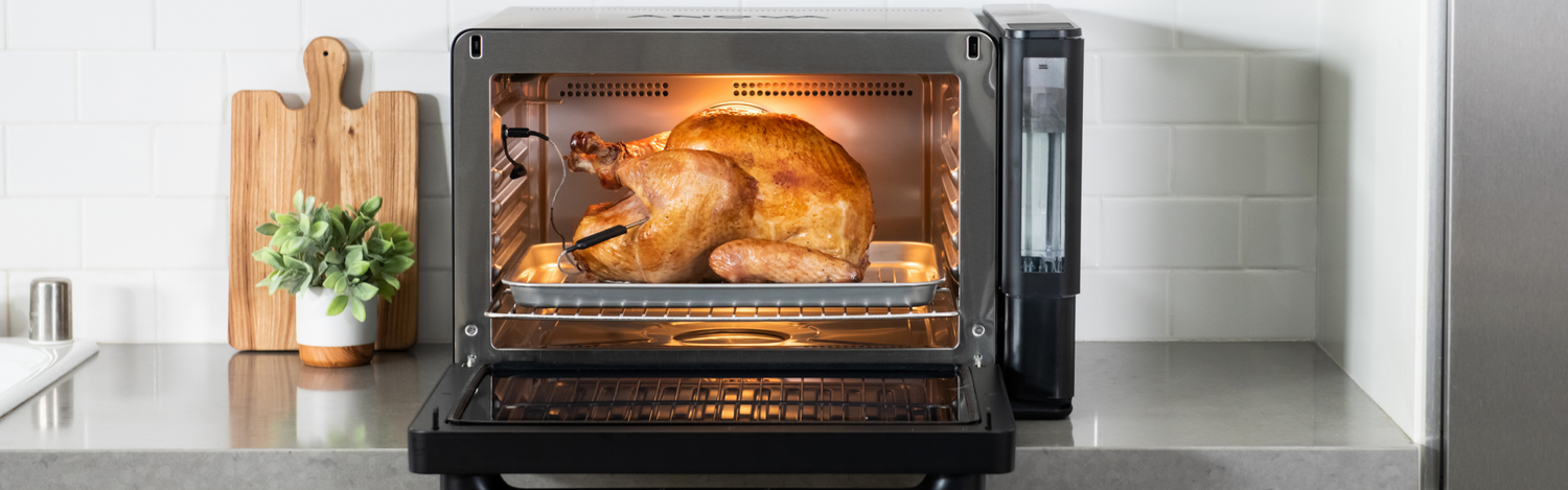 turkey in anova precision oven