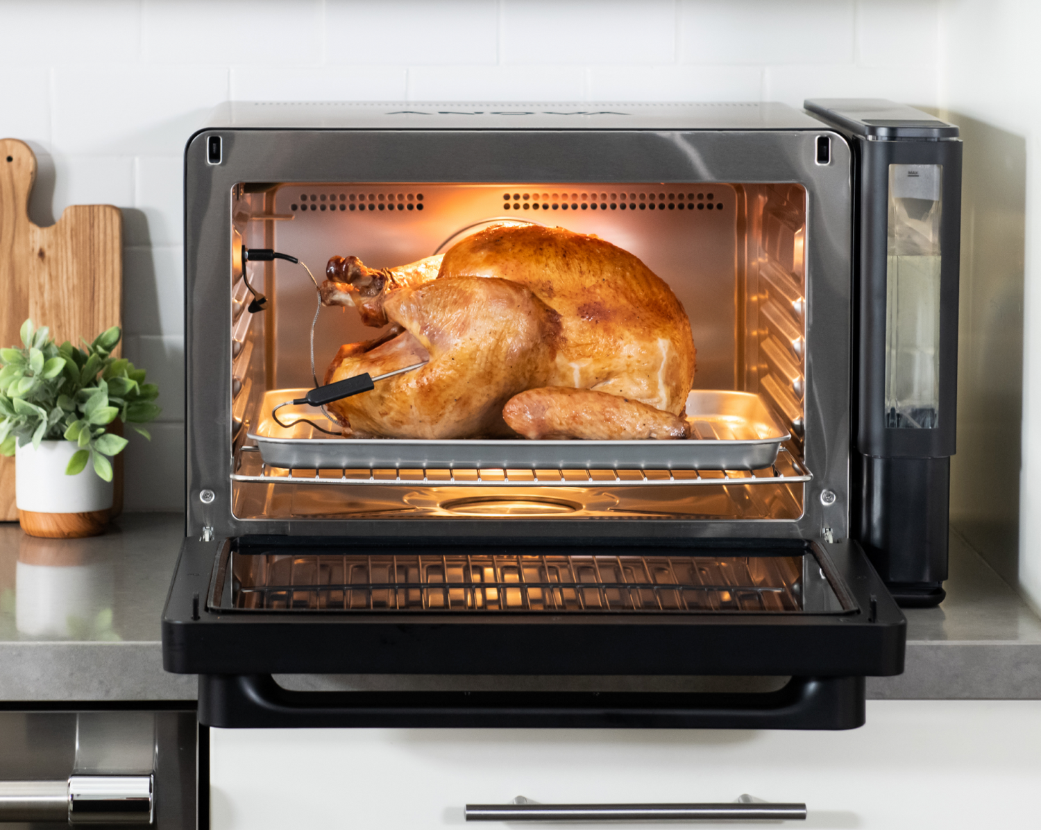 Turkey in Anova Precision Oven