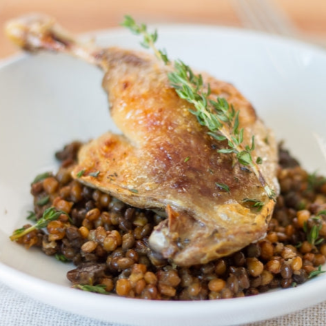 Seared confit duck leg on a bed of lentils topped with fresh thyme