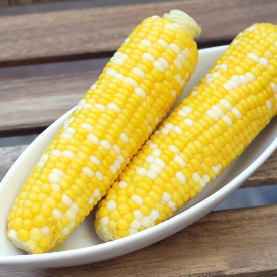 Two cooked ears of corn on the cob in a white bowl