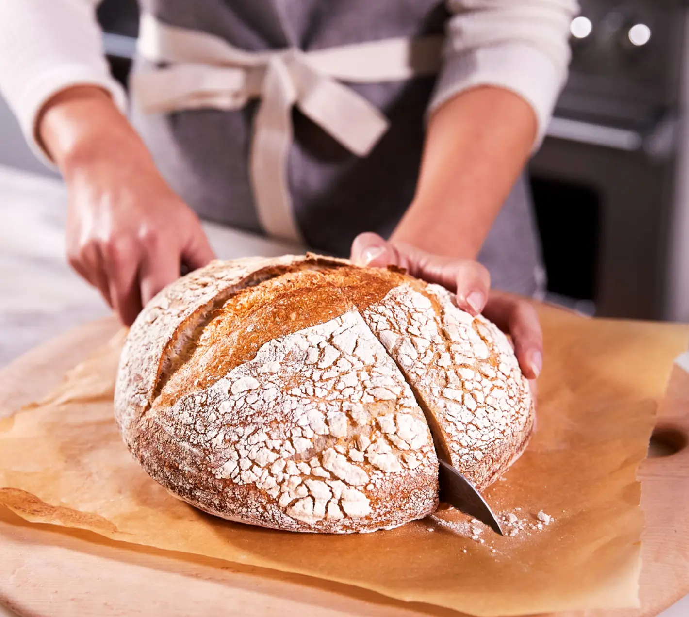https://anovaculinary.com/cdn/shop/files/anova-precision-oven-steam-makes-bread-better-than-ever.webp?v=1666764281&width=1500
