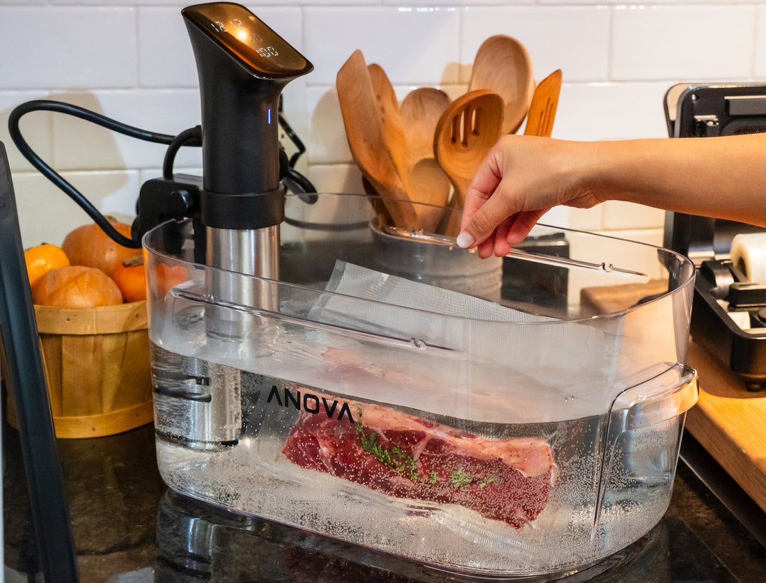 ANOVA PRECISION® COOKER PRO