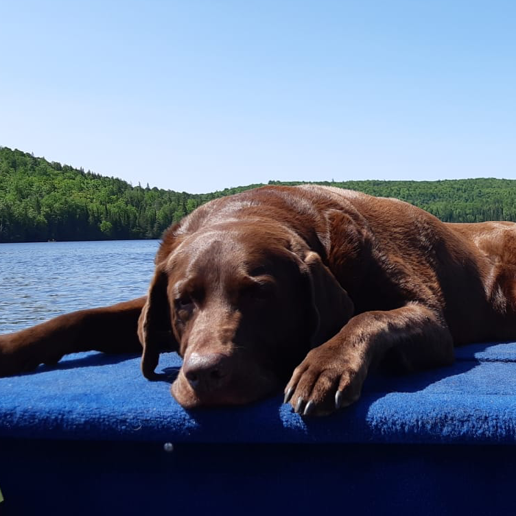 Rocky, Executive In Charge of Lakeside Operations