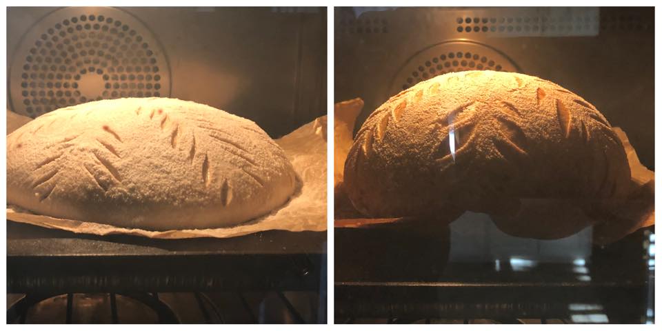 #anovafoodnerd Debra Best bakes the best bread with the Anova Precision Oven